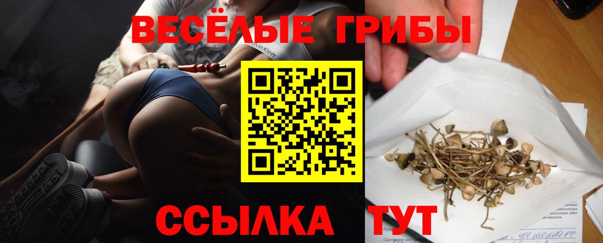 Конаково  Галлюциногенные грибы Cubensis  Псилоцибиновые грибы мухоморы  Вход с VPN 